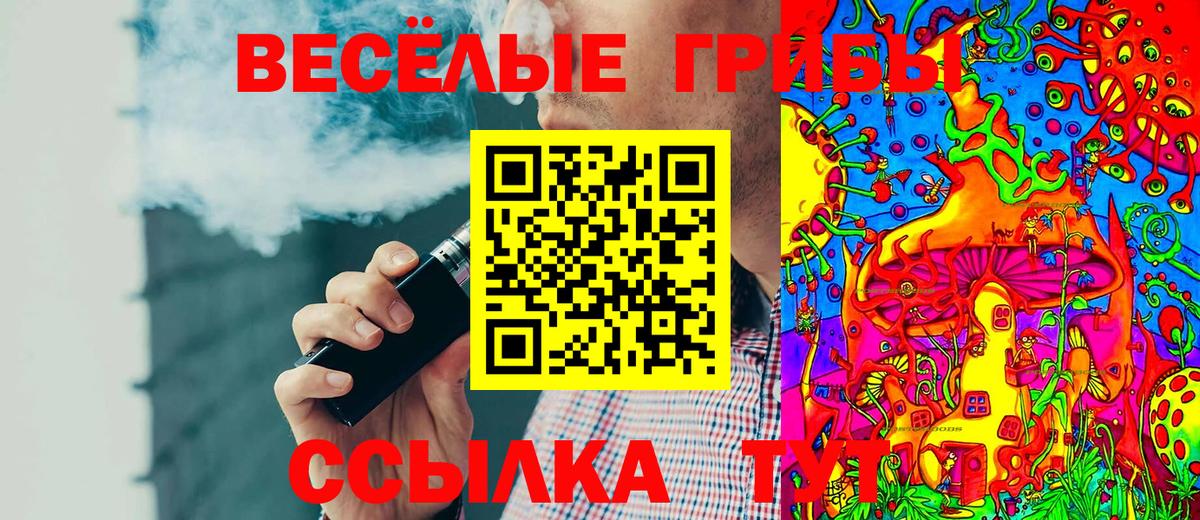 Псилоцибиновые грибы мицелий  Псилоцибиновые грибы GOLDEN TEACHER  Амурск  Вход с VPN 