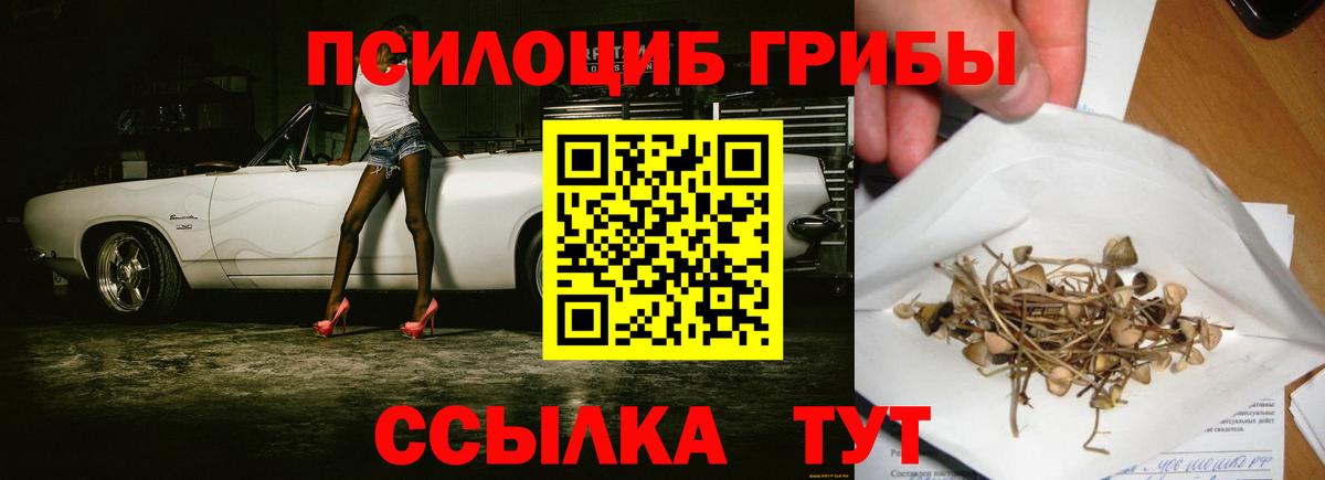 Псилоцибиновые грибы Cubensis Амурск